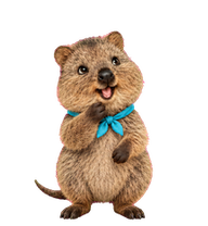 Barry, an illustrated quokka wearing a turquoise neckerchief